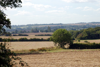 Countryside looking south towards North End September 2009